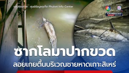 ซากโลมาปากขวด ลอยเกยตื้นบริเวณชายหาดเกาะสิเหร่