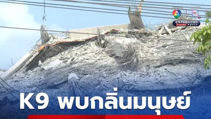 K9 พบกลิ่นมนุษย์ ภายใต้โครงสร้างตึกถล่ม