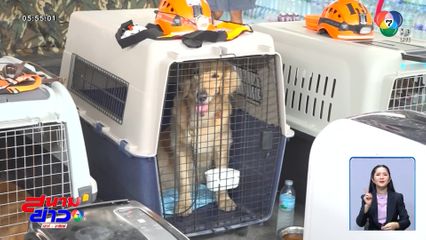 สุนัข K9 ส่งสัญญาณพบกลิ่นมนุษย์