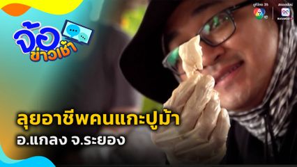 ลุยอาชีพคนแกะปูม้า จ.ระยอง