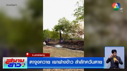 สลด ตาจูงควาย เผาฟางข้าว สำลักควันตาย จ.มหาสารคาม