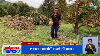 ชาวสวนผลไม้ อดกำเงินแสน โขลงช้างป่าบุกกินทุเรียน เหลือไว้แค่ 6 ลูก