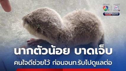 เจ้าของร้านอาหารพบ “ลูกนาก” บาดเจ็บจึงช่วยจนหาย ก่อนเจ้าหน้าที่รับไปดูแลต่อ