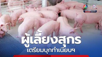 ผู้เลี้ยงสุกรเตรียมบุกทำเนียบฯ ค้านนำเข้าหมูจากสหรัฐ หวั่นกระทบห่วงโซ่การผลิต