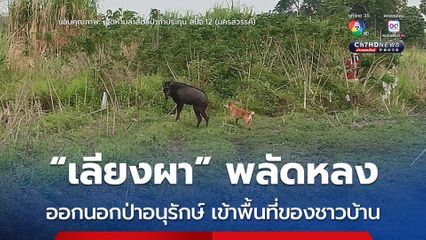 ช่วย “เลียงผา” พลัดหลงออกนอกป่าอนุรักษ์ เข้ามาในพื้นที่ของชาวบ้าน