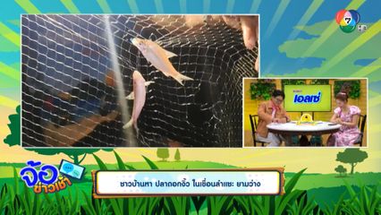 ชาวบ้านหา ปลาดอกงิ้ว ในเขื่อนลำแชะ ยามว่าง