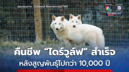คืนชีพ “หมาป่าไดร์วูล์ฟ” สำเร็จ หลังสูญพันธุ์จากโลกไปกว่า 10,000 ปี