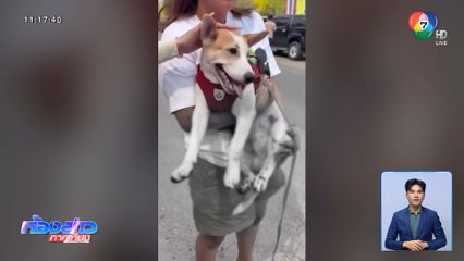 โมโหแฟน ! แต่ลงที่หมาจับลากไปกับถนน