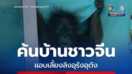 บุกค้นบ้านในภูเก็ต ชาวจีนแอบเลี้ยงลิงอุรังอุตัง