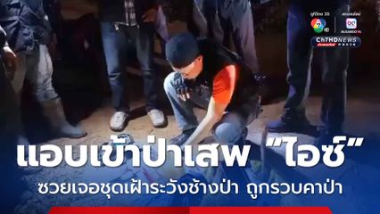 3 คนร้ายแอบเข้าป่าไปเสพไอซ์ ขากลับบังเอิญเจอชุดเฝ้าระวังช้างป่า ถูกรวบคาป่า