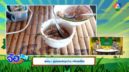 สุดทน ! ฝูงแมลงวันบุกบ้าน กลัวแพร่โรค