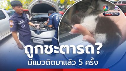 ช่วยลูกแมว ติดในห้องเครื่องรถเก๋ง เผยคันนี้มีแมวติดมาแล้ว 5 ครั้ง