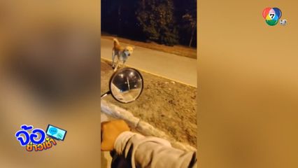 โบราณว่าไว้ หมาเห่า...ไม่กัด