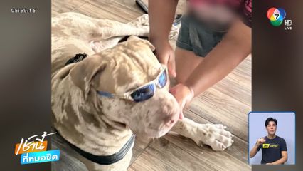 หมาพันธุ์ดุ กัดคนเลี้ยงเจ็บสาหัส