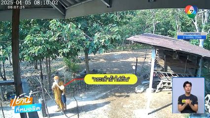 โจรใจบาป ! ปลอมเป็นพระขโมยเงินวัด