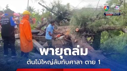 ผัวเมียนั่งหลบฝนอยู่ในศาลาริมทาง เกิดพายุถล่ม ต้นไม้ใหญ่ล้มทับเมียเสียชีวิต