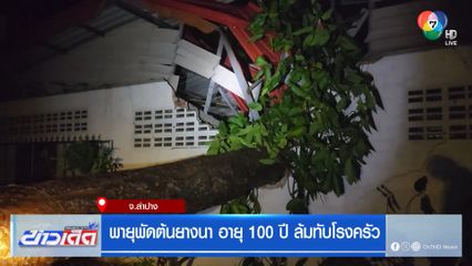 พายุพัดต้นยางนา อายุ 100 ปี ล้มทับโรงครัว