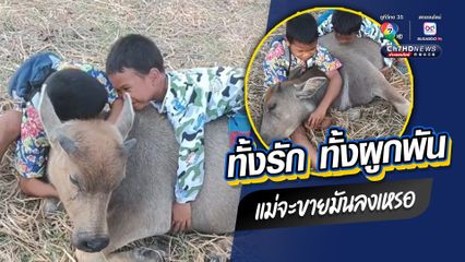 ทั้งรัก ทั้งผูกพัน แม่จะขายมันลงเหรอ