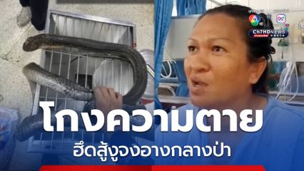 โกงความตาย ฮึดสู้งูจงอางกลางป่า