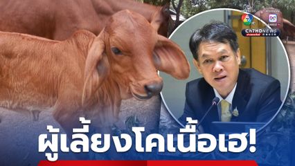 ข่าวดี! มาตรการแก้ไขปัญหาราคาโคเนื้อตกต่ำ