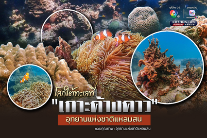 โลกใต้ทะเลที่ “เกาะค้างคาว” อุทยานแห่งชาติแหลมสน