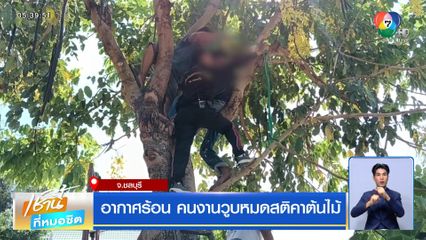 อากาศร้อน คนงานวูบหมดสติคาต้นไม้