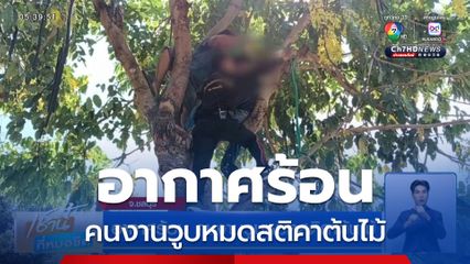 อากาศร้อน คนงานวูบหมดสติคาต้นไม้