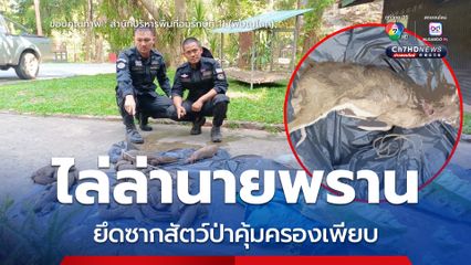 ไล่ล่านายพราน ยึดซากสัตว์ป่าคุ้มครองเพียบ