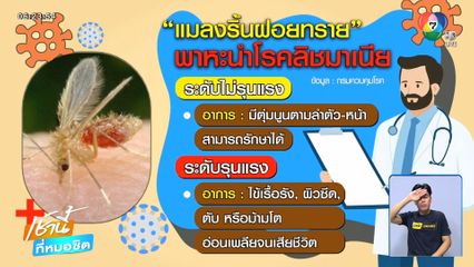 ติดเชื้อ ลิชมาเนีย ปีนี้เสียชีวิตแล้ว 2 คน