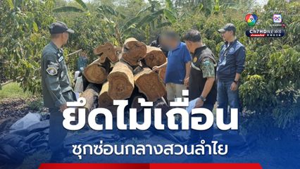 ตำรวจ ปทส. ยึดไม้เถื่อนจำนวนมากซุกซ่อนกลางสวนลำไย