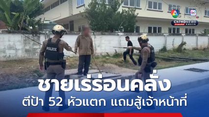 ชายเร่ร่อนคลั่งคว้าไม้ตีป้าวัย 52 หัวแตก แถมถือไม้ต่อสู้เจ้าหน้าที่ตำรวจ 