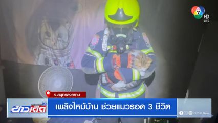เพลิงไหม้บ้าน ช่วยแมวรอด 3 ชีวิต