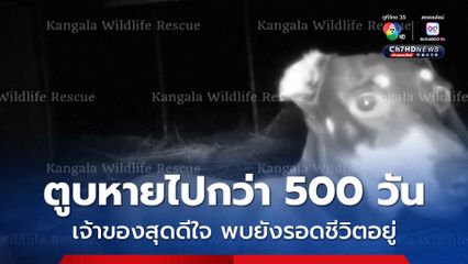 เจ้าของไม่อยากจะเชื่อ สุนัขสุดรักหายเข้าป่าไปกว่า 500 วัน สุดท้ายพบยังมีชีวิต