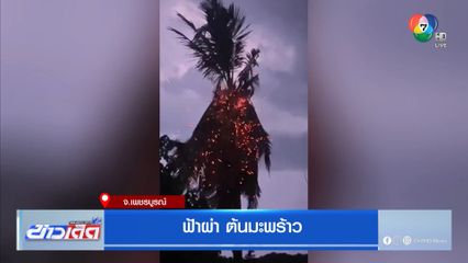 ฟ้าผ่า ต้นมะพร้าว จ.เพชรบูรณ์