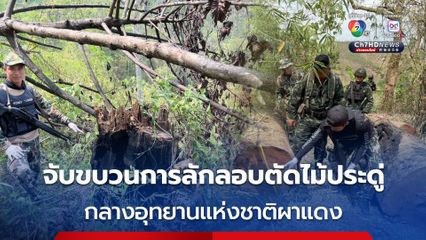 เจ้าหน้าที่บุกจับขบวนการลักลอบตัดไม้ประดู่ กลางอุทยานแห่งชาติผาแดง
