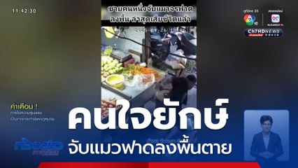 คนใจยักษ์ จับแมวฟาดลงพื้นตาย