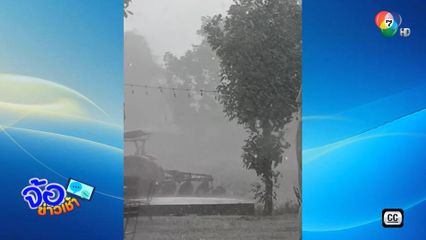 พายุโค่น ต้นสะพุง อายุ 120 ปี จ.เลย