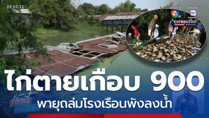 เจ้าของฟาร์มไก่เศร้า พายุถล่มแม่ไก่ตายเกือบ 900 ตัว
