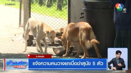 แจ้งความคนวางยาเบื่อฆ่าสุนัข 5 ตัว