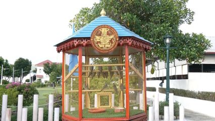 ประธานองคมนตรี เป็นผู้แทนพระองค์ ไปในการบำเพ็ญพระราชกุศลปล่อยโค นก และปลา เนื่องในโอกาสวันคล้ายวันประสูติ สมเด็จพระเจ้าลูกยาเธอ เจ้าฟ้าทีปังกรรัศมีโชต มหาวชิโรตตมางกูร สิริวิบูลยราชกุมาร วันที่ 29 เมษายน 2568