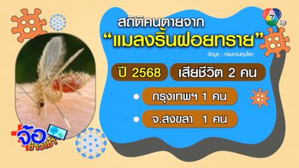 ติดเชื้อ ลิชมาเนีย ปีนี้เสียชีวิตแล้ว 2 คน