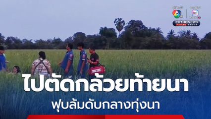ตาวัย 78 ปี ไปตัดกล้วยท้ายนา ฟุบล้มดับกลางทุ่งนา คาดโรคประจำตัวกำเริบ และอากาศที่ร้อนจัด
