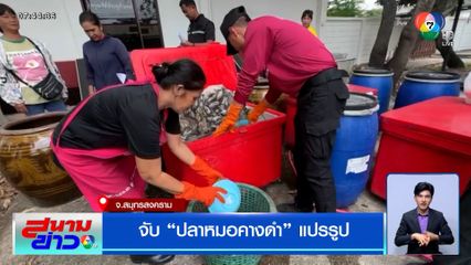 นำร่อง ! จับปลาหมอคางดำแปรรูป หมักเป็นน้ำปลา