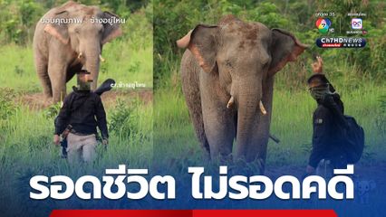 นทท. ถือมีดเดินเข้าหาช้างป่า อช.เขาใหญ่เรียกมาแจ้งข้อกล่าวหา