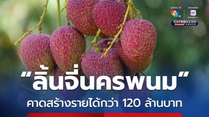 ลิ้นจี่นครพนม คาดสร้างรายได้กว่า 120 ล้านบาท กระตุ้นเศรษฐกิจในจังหวัด 