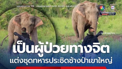 รู้ตัวแล้วนทท.ประชิดช้างป่าเขาใหญ่ เป็นผู้ป่วยอาการทางจิต