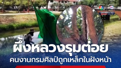 คนงานกรมศิลป์หนีกระเจิง ถูกผึ้งหลวงรุมต่อยขณะตัดต้นไม้ บาดเจ็บอย่างน้อย 10 คน