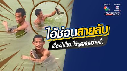 ทำเอาอึ้ง ปลาช่อนสุดเชื่อง ให้คนลงไปจับเล่นพาว่ายน้ำอยู่ในบ่อ