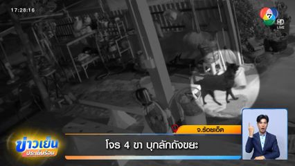 โจร 4 ขา บุกลักถังขยะ