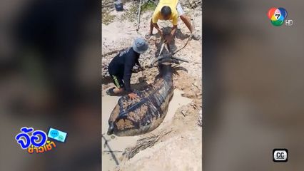 ช่วยควายร้อน หาน้ำกินจนจมโคลน จ.มุกดาหาร